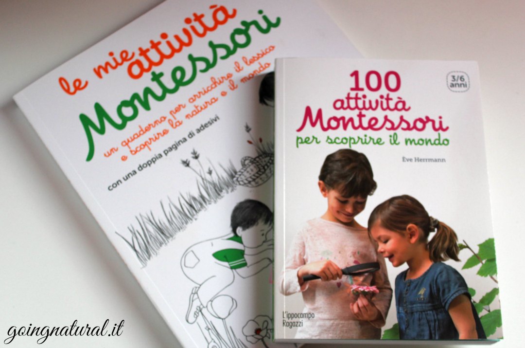 100 attività Montessori per scoprire il mondo. 3-6 anni